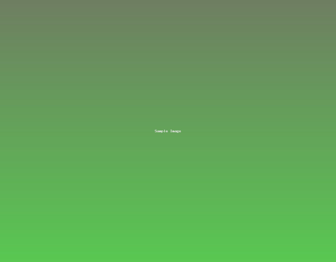 sample-image-579.jpg