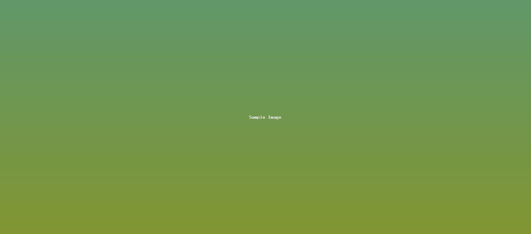 sample-image-882.jpg